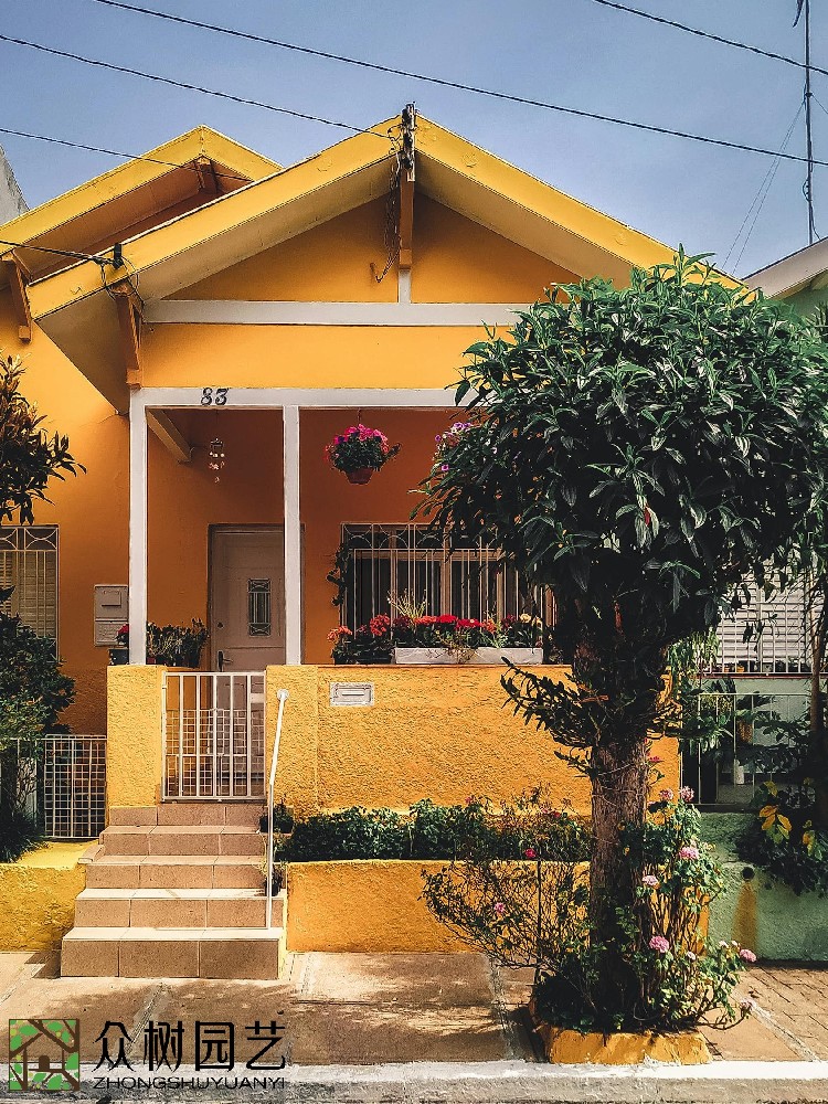 蘇州綠植租賃花卉租擺：打造生態(tài)辦公空間的首選之道